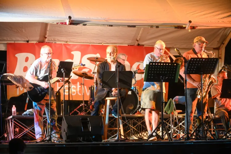 10th annual Budstock music fest to take place Saturday in Renovo